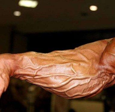 Vücut geliştirmeyi abartanlar - Resim 28