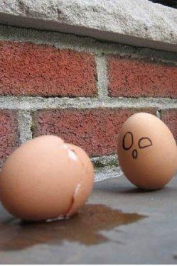 Çılgın yumurtalar