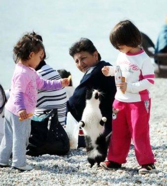 Bodrum tatil havasına girdi 