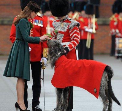 Bu güzelliği gören asker bayıldı