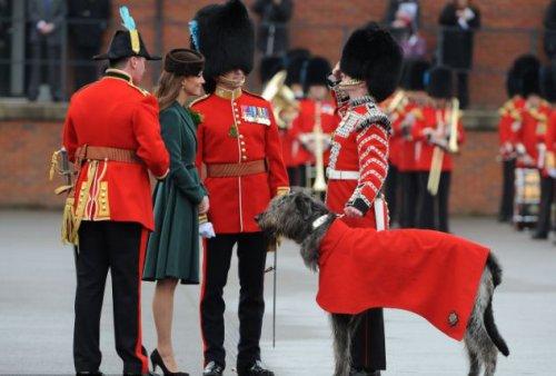 Bu güzelliği gören asker bayıldı