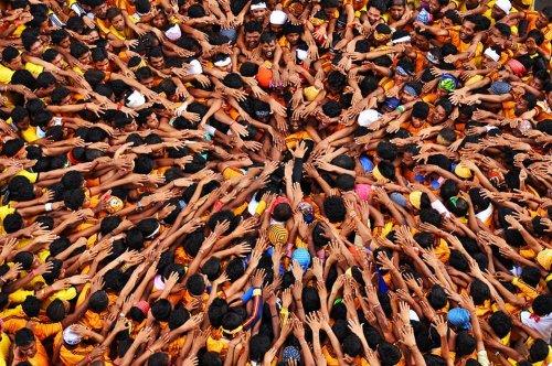 2012 Sony Dünya Fotoğraf Ödülleri sahiplerini buldu - Resim 2