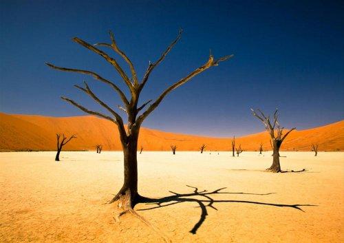2012 Sony Dünya Fotoğraf Ödülleri sahiplerini buldu - Resim 12