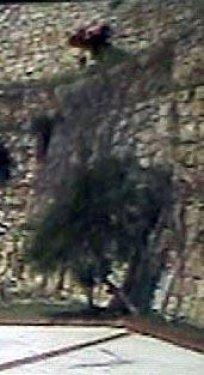 Brezilyalı model Bodrum'da ATV ile ölüme uçtu