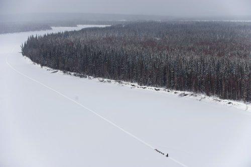 Alaska'da köpeklerin ardında kıyasıya yarış - Resim 11