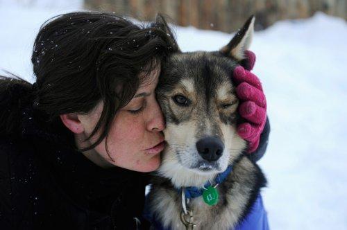 Alaska'da köpeklerin ardında kıyasıya yarış - Resim 10
