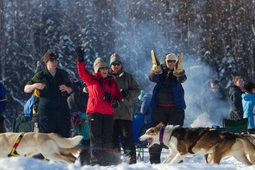 Alaska'da köpeklerin ardında kıyasıya yarış - Resim 16