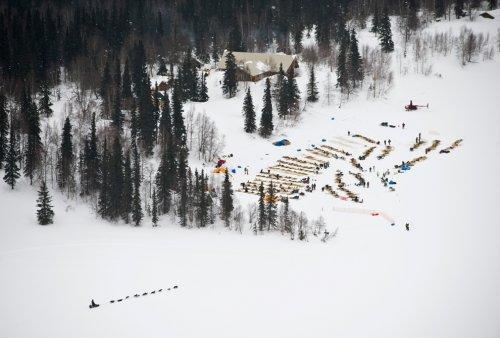 Alaska'da köpeklerin ardında kıyasıya yarış - Resim 21