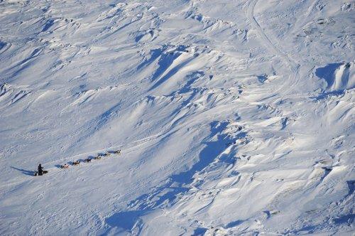 Alaska'da köpeklerin ardında kıyasıya yarış - Resim 24