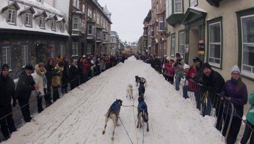 Alaska'da köpeklerin ardında kıyasıya yarış - Resim 2