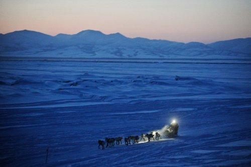 Alaska'da köpeklerin ardında kıyasıya yarış - Resim 17