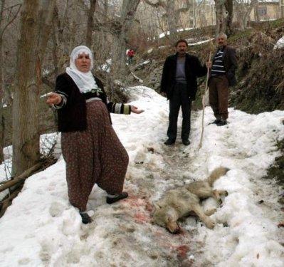 Kurdun kafasını taşla ezerek kurtuldu - Resim 4