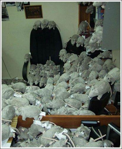 Unutulmaz 1 Nisan Şakaları