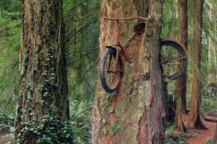 Ruslar yurdum insanını aratmadı - Resim 52