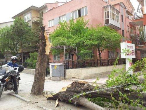 İstanbul'da fırtına - Resim 34