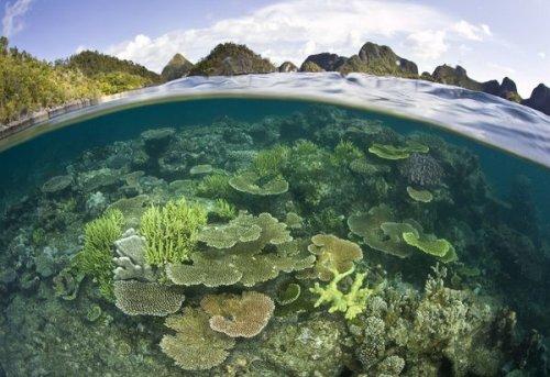 National Geographic objektifinden dünya fotoğrafları - Resim 4