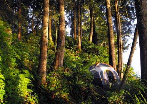 National Geographic objektifinden dünya fotoğrafları - Resim 17