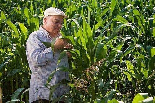 Hangi ünlü hangi takımın taraftarı