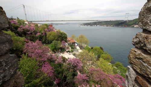 Boğaz erguvan açtı - Resim 3