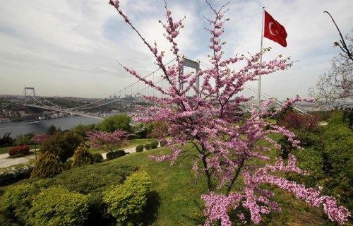 Boğaz erguvan açtı - Resim 9