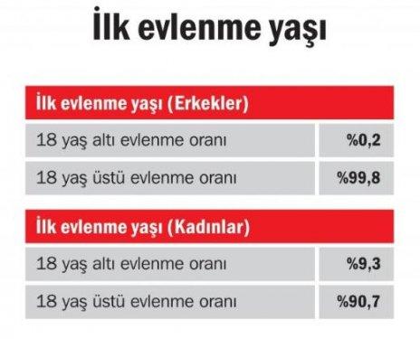 Türkiye'de aile yapısı araştırması