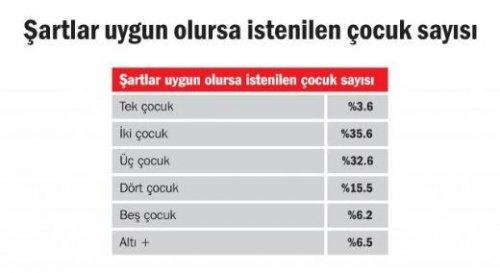 Türkiye'de aile yapısı araştırması