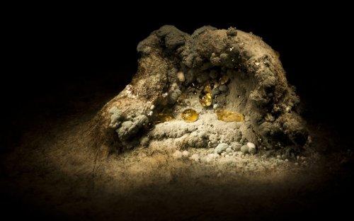 Yediklerinize bir de böyle bakın