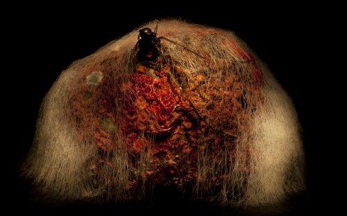 Yediklerinize bir de böyle bakın