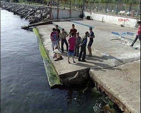 Pitbull'u suda boğarak kurtuldu 