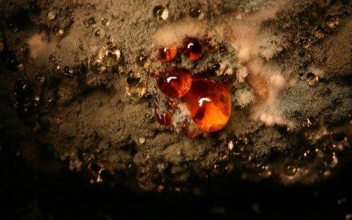 Yediklerinize bir de böyle bakın