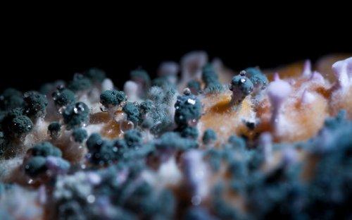 Yediklerinize bir de böyle bakın