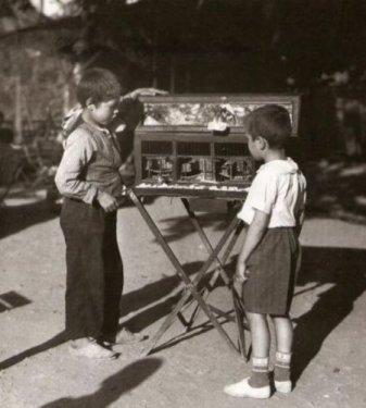 National Geographic arşivinden çıkan Türkiye fotoğrafları - Resim 9