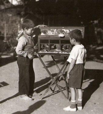 National Geographic arşivinden çıkan Türkiye fotoğrafları - Resim 74