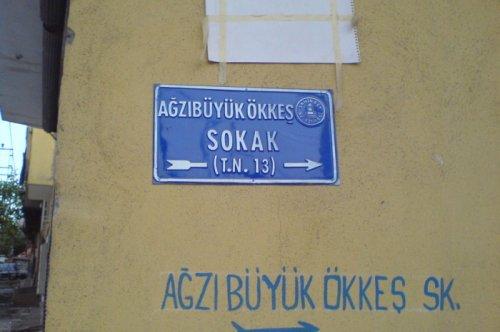 Yurdum insanı şaşırtmıyor