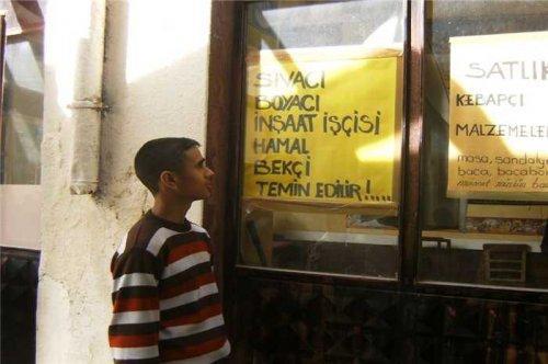 Yurdum insanı şaşırtmıyor