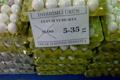 Yurdum insanı şaşırtmıyor