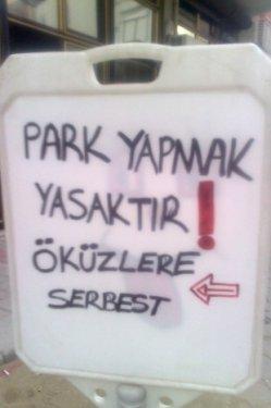 Yurdum insanı şaşırtmıyor