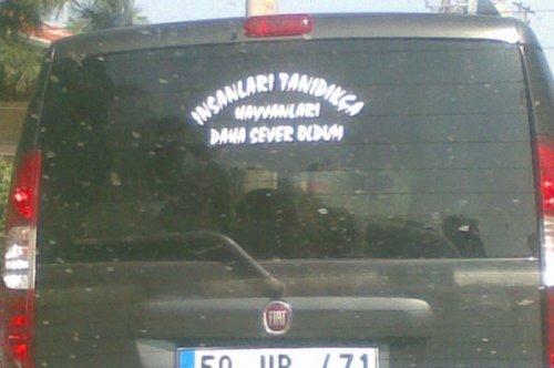 Yurdum insanı şaşırtmıyor