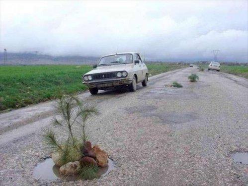 Yurdum insanı şaşırtmıyor