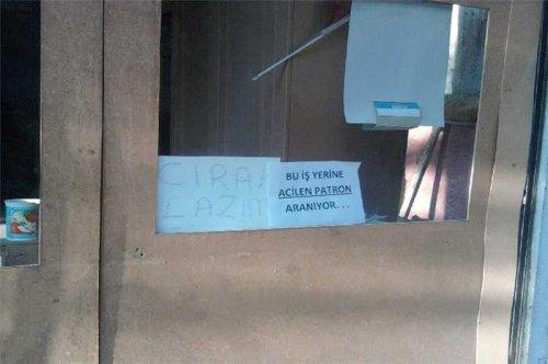 Yurdum insanı şaşırtmıyor