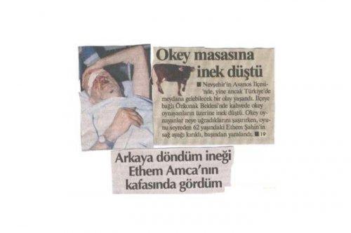 Yurdum insanı şaşırtmıyor