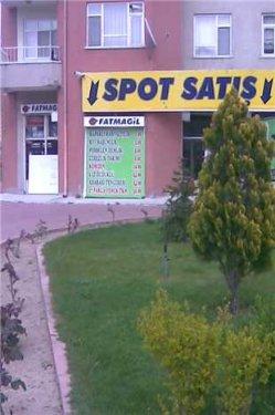 Yurdum insanı şaşırtmıyor