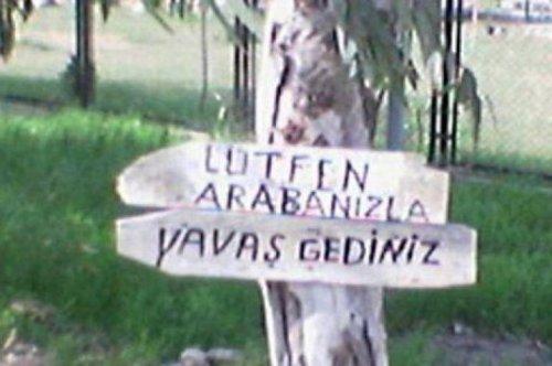 Yurdum insanı şaşırtmıyor