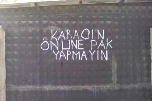 Yurdum insanı şaşırtmıyor