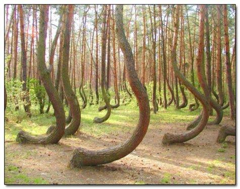 ‎Bu karelerde Photoshop yok - Resim 33