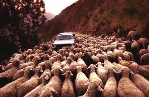 ‎Bu karelerde Photoshop yok - Resim 3