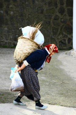 Yeşilin ve mavinin buluştuğu yer Karadeniz - Resim 42