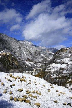 Yeşilin ve mavinin buluştuğu yer Karadeniz - Resim 37
