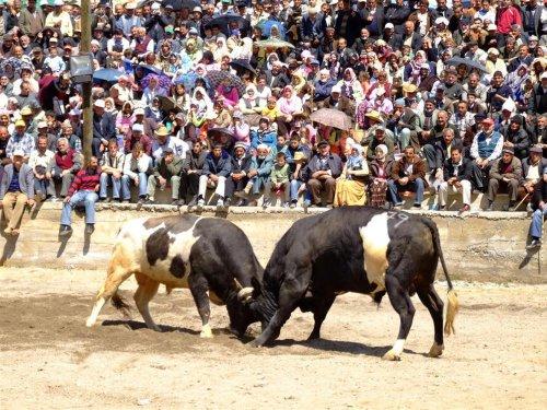 Yeşilin ve mavinin buluştuğu yer Karadeniz - Resim 16
