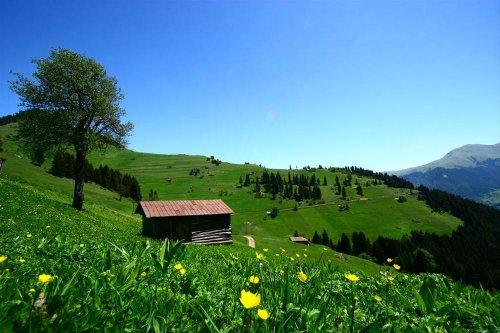 Yeşilin ve mavinin buluştuğu yer Karadeniz - Resim 14